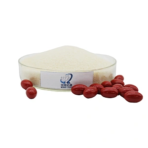 Food Additive 200 Bloom Bovine Gelatin Bone Gelatin Cow Gelatin